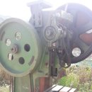 코아식품 이미지