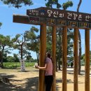 다이소양평양수리점 | [양평 여행 동선 추천] 자연을 느낄 수 있었던, 양평 1박 2일 여행 코스!