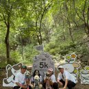 조병하「사랑의 강」 | 🐶강원도 홍천 2026 댕댕트레킹 후기(5K 코스 선택)