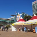 경북 117 경북신문