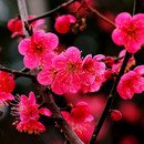 예쁜,날(스킨)