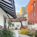 스테이 옥도 | [강릉] 강릉여행 강릉역 근처 뚜벅이여행 강릉감성숙소 오뉴옥