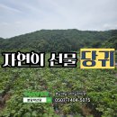분당야탑약선당한의원 이미지