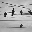 김진수내과의원 이미지