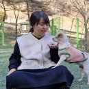 산삼자연휴양림(함양) 이미지