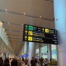 소담약국 | 다낭 공항 입국 소요 시간 그리고 롯데마트 살만한 것 솔직후기