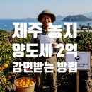 표선공인중개사사무소 이미지