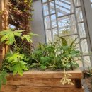 한구목장 이미지