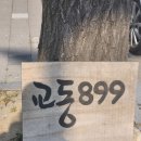 커피랑도서관 강릉교동점 | 현지인 추천 한옥 강릉 카페 수제 디저트 맛집 교동 899