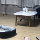 왕초신불닭 | 10월 일상 :)