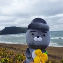 시아도아네 이미지