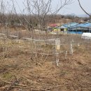 이순이농장 이미지