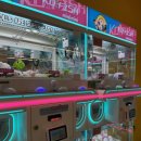 주니 퍼니 이미지