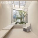 모스헤어 이미지