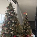 천성대항길 | 부산 가덕도 카페, 크리스마스 분위기 스톤라운지 내돈내산후기