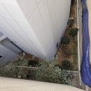 (주)수목조경 이미지