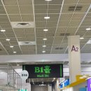 화일식당 | 2026 서울국제도서전 오픈런 후기 / 코엑스 박람회 준비물부터 동선 꿀팁까지