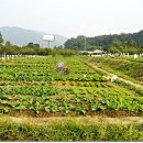 대원농장 이미지
