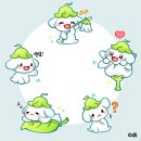초롱스토리