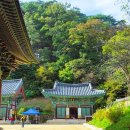 제260회 속리산,문경세재,충주여행 공지 올립니다. 이미지