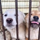 대선농장 이미지