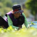 자란만마을 이미지