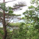 소석농장 이미지