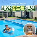 골드펜션커피숍 | 태안 애견 펜션 수영장 개별 운동장 있는 더스테이 골드독