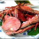 다해초장 이미지