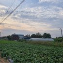 신기마을버스 정류장 이미지