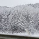 동해정보