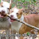 오!오