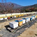 동강영농조합법인 이미지