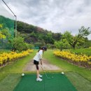 WG골프랜드 이미지