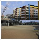 정암초등학교 이미지