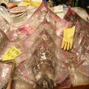 김제상회 이미지