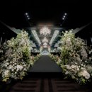 웨스턴베니비스 이미지