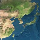 서안이노빌A_동 | 四字成語 총정리 ㄷ 383 동아세아~동안성형