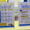 브라이튼독 이미지