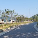 꽃길만걷자 이미지