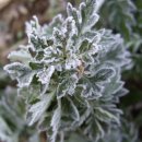 큰골낚시터 이미지