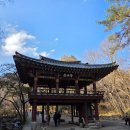 편백숲 | 순천 선암사 편백숲 산책코스 후기｜공기 좋은 힐링 숲길 다녀왔어요