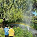 동해곤충농장 이미지