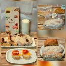 브레드베이커리 | 창원비건빵 도계동빵집 쏭띠앤브레드비건베이커리 솔직후기