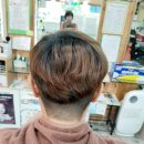 손수진헤어