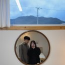 스테이-니로다