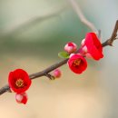 안산 식물원 이미지