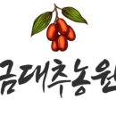 금대추농원