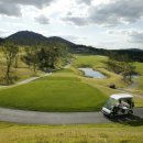 올데이 로얄포레 이미지