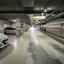 후니휘트니스 이미지